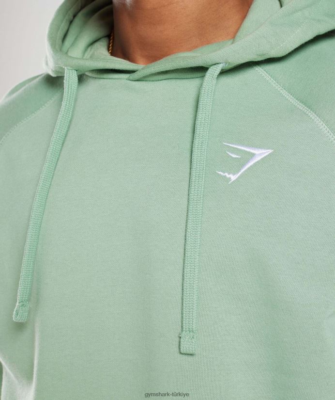 kret kapşonlu erkeklerGymshark çöl adaçayı yeşili 02H048823