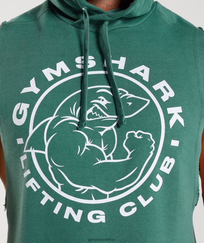 miras bırak kollu kapüşonlu üst erkeklerGymshark Hoya yeşili 02H048842