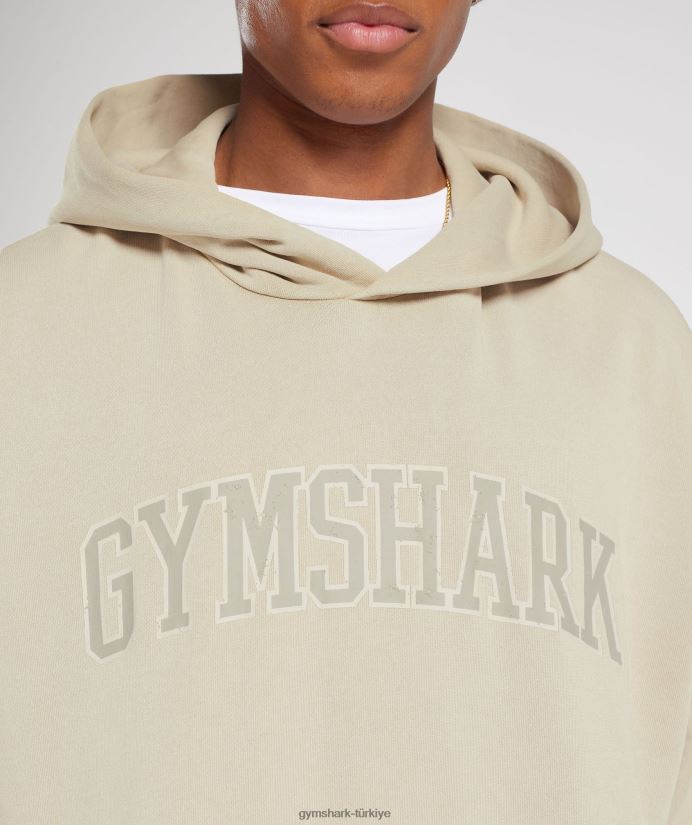 üniversite kapşonlusu erkeklerGymshark çakıl grisi/asit yıkama 02H048805