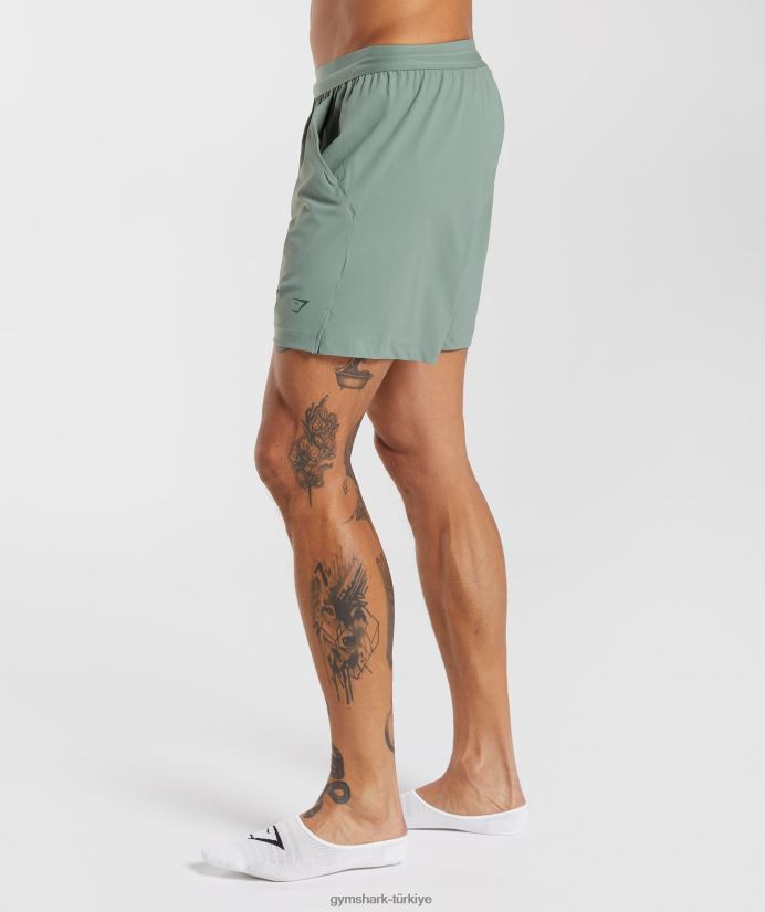 stüdyo şortu erkeklerGymshark söğüt yeşili 02H048566