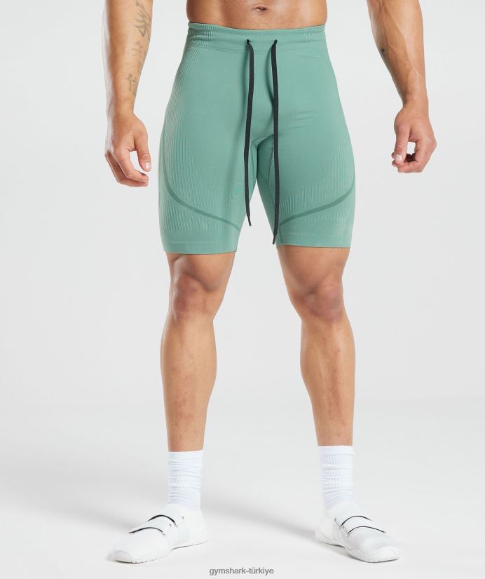 315 dikişsiz şort erkeklerGymshark mürekkep deniz mavisi/mücevher yeşili 02H0481034