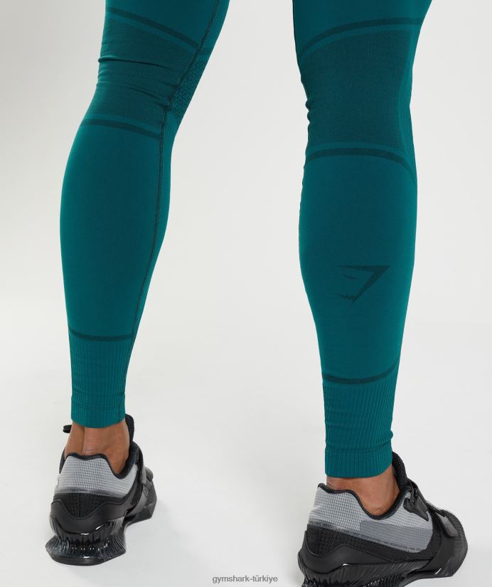 315 dikişsiz tayt erkeklerGymshark kış deniz mavisi/siyah 02H0481040