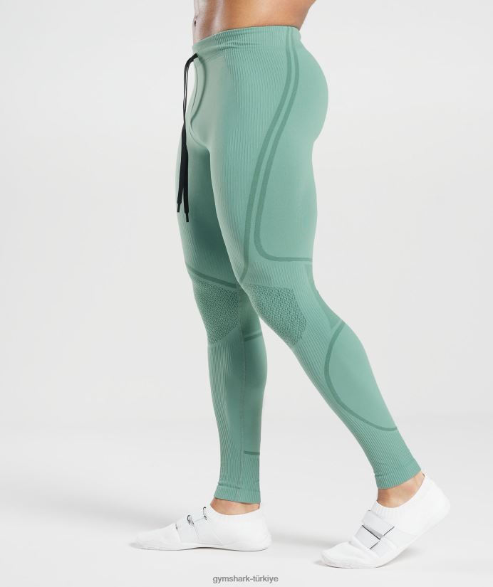 315 dikişsiz tayt erkeklerGymshark mürekkep deniz mavisi/mücevher yeşili 02H0481030