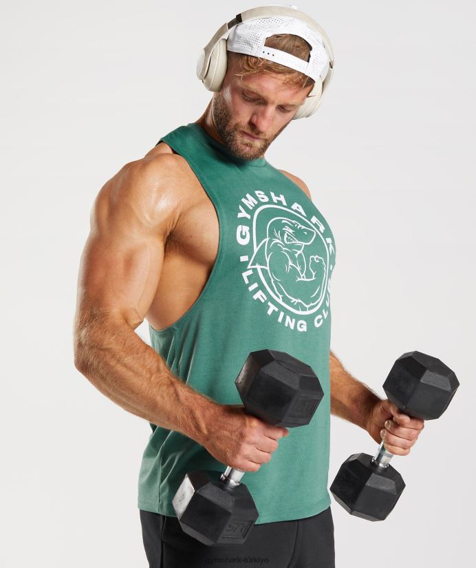 eski düşme kollu tank erkeklerGymshark Hoya yeşili 02H048960