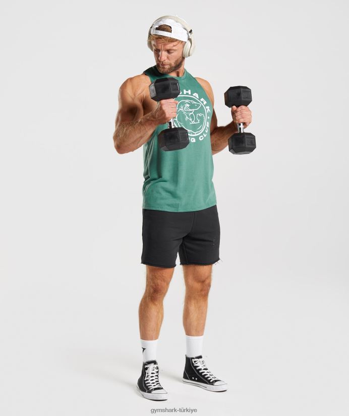 eski düşme kollu tank erkeklerGymshark Hoya yeşili 02H048960