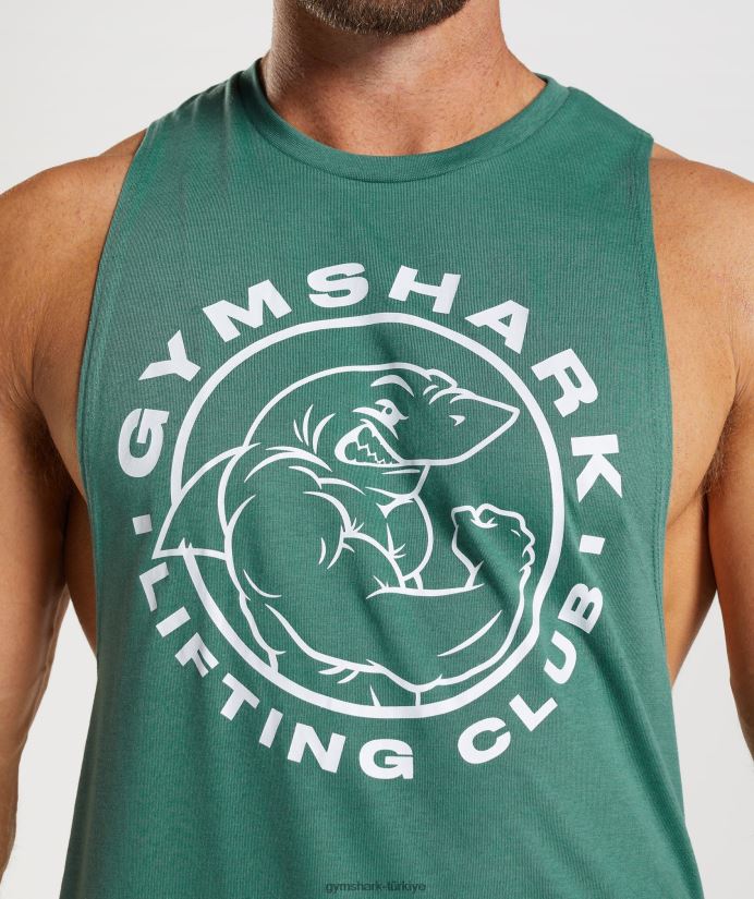 eski düşme kollu tank erkeklerGymshark Hoya yeşili 02H048960