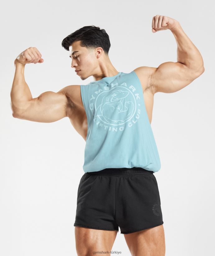 eski düşme kollu tank erkeklerGymshark buzdağı mavisi 02H048956