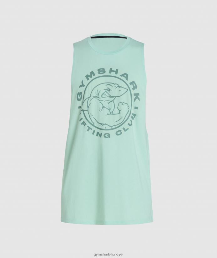 eski düşme kollu tank erkeklerGymshark su yeşili 02H048964