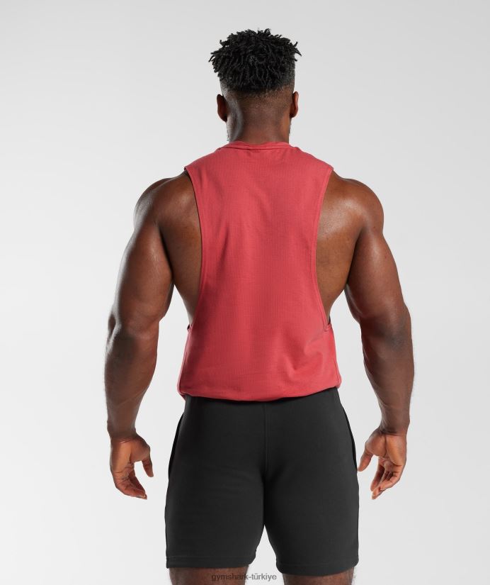 tepki düşürme kolu tankı erkeklerGymshark güneşte kurutulmuş kırmızı 02H048974