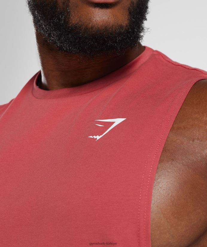 tepki düşürme kolu tankı erkeklerGymshark güneşte kurutulmuş kırmızı 02H048974