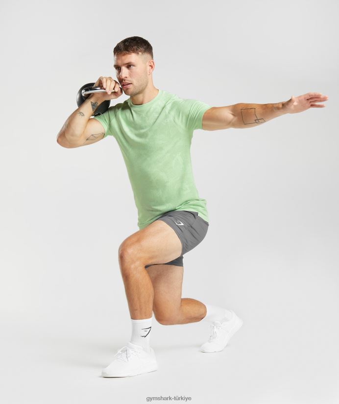 coğrafi dikişsiz tişört erkeklerGymshark aloe yeşili/çay yeşili 02H048609
