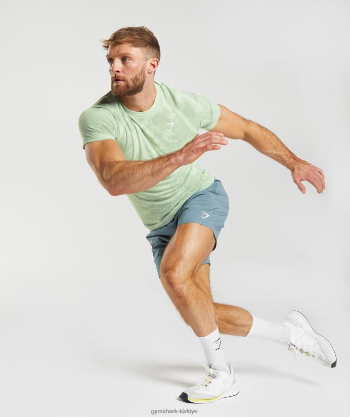 coğrafi dikişsiz tişört erkeklerGymshark bitki örtüsü yeşili/söğüt yeşili 02H048657