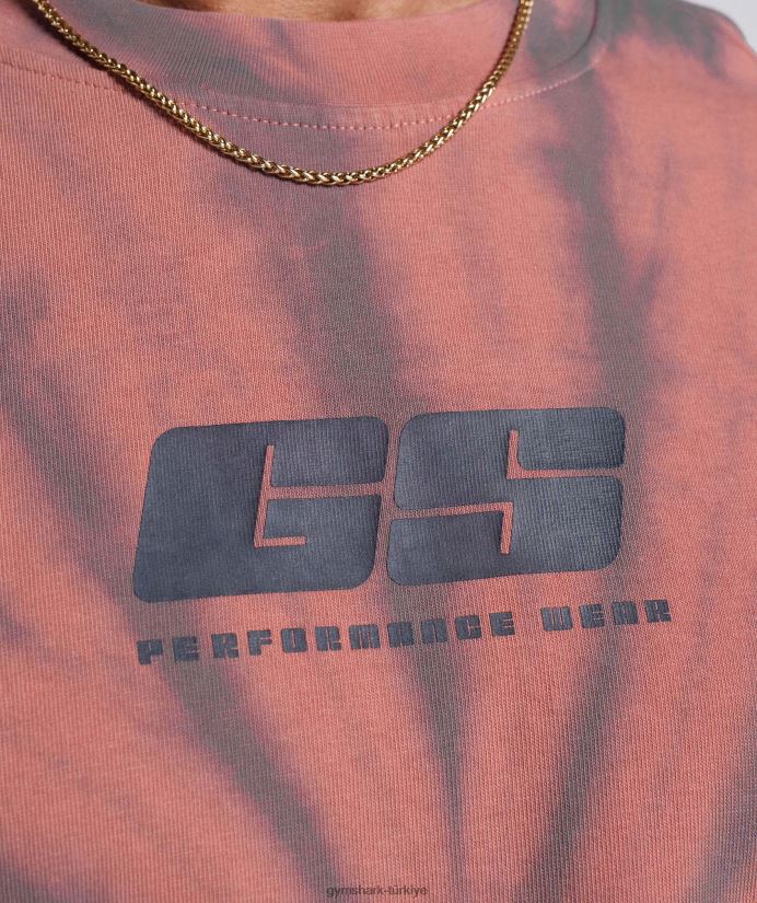 dinlenme günü tişörtü erkeklerGymshark pişmiş toprak pembe/tozlu bordo/spiral optik yıkama 02H048775