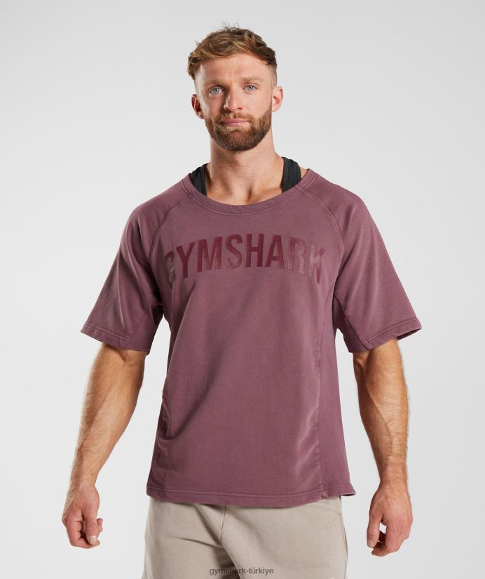elektrikle yıkanmış bez üst erkeklerGymshark kiraz kahverengi 02H048617