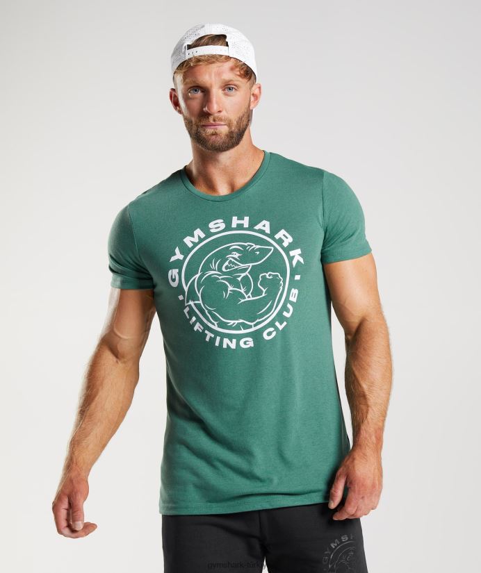 miras tişörtü erkeklerGymshark Hoya yeşili 02H048697
