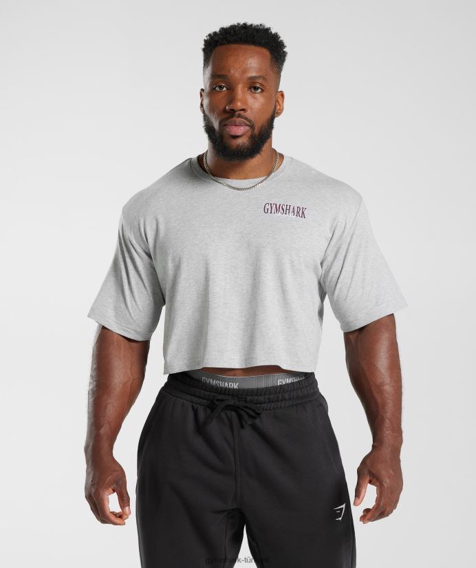 retro dalga mahsul tişört erkeklerGymshark açık gri çekirdekli marn 02H048588