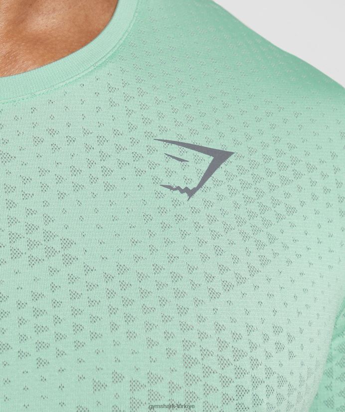 spor dikişsiz tişört erkeklerGymshark pastel yeşil/söğüt yeşili 02H048715