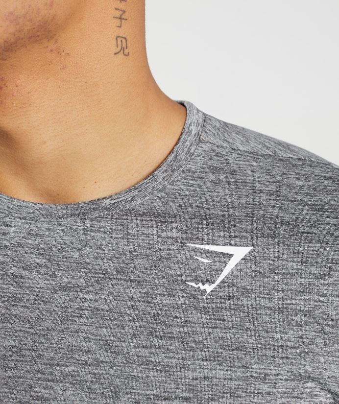 varış kırçıllı tişört erkeklerGymshark siluet grisi/açık gri kırçıllı 02H048660