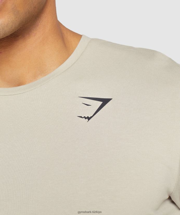 vazgeçilmez tişört erkeklerGymshark çakıl taşı grisi 02H048758