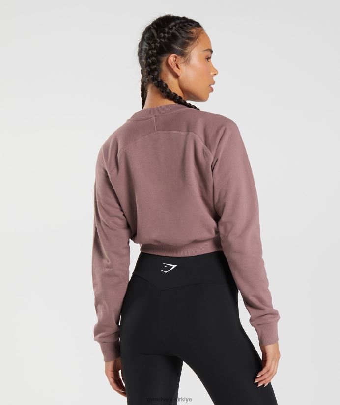 antrenman kırpılmış kazak kadınlarGymshark tozlu bordo 02H048395