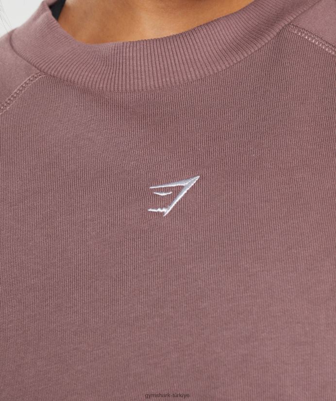 antrenman kırpılmış kazak kadınlarGymshark tozlu bordo 02H048395