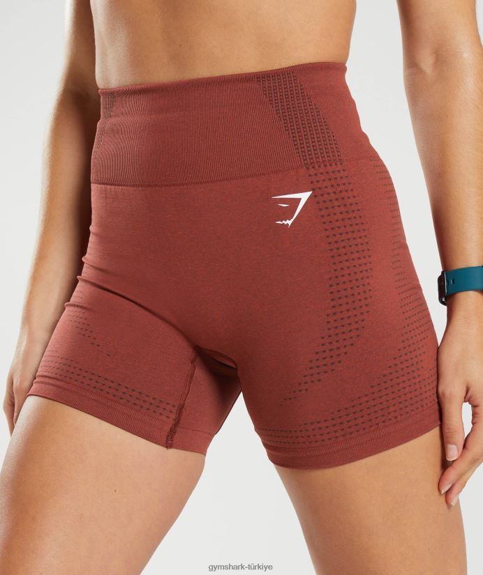 hayati dikişsiz 2.0 şort kadınlarGymshark tuğla kırmızısı marn 02H04813