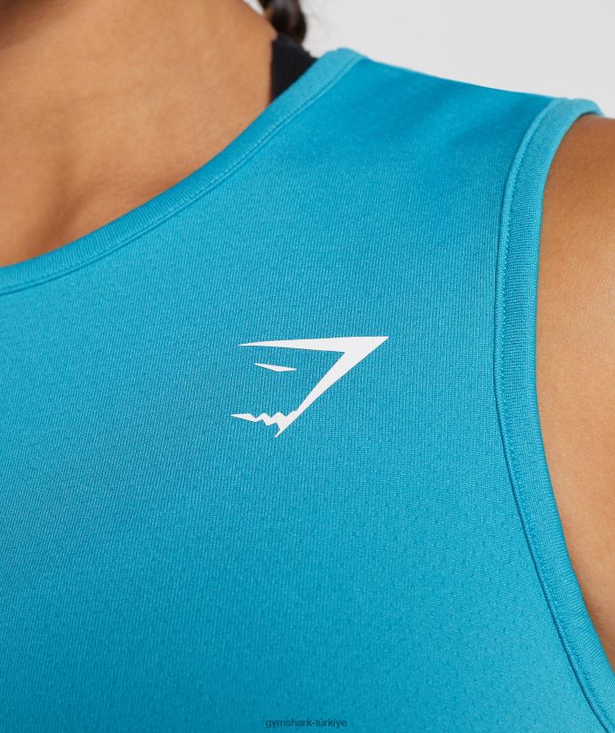 eğitim mahsul tankı kadınlarGymshark kuyruklu yıldız mavisi 02H048484