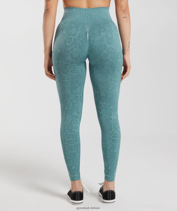 hayvan dikişsiz taytlarına uyum sağlar kadınlarGymshark buzdağı mavisi/gök gürültüsü mavisi 02H048253