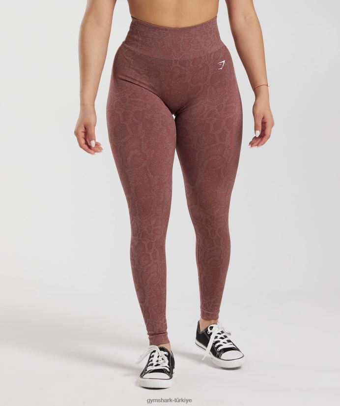 hayvan dikişsiz taytlarına uyum sağlar kadınlarGymshark modern allık pembesi/macenta kahverengi 02H048238