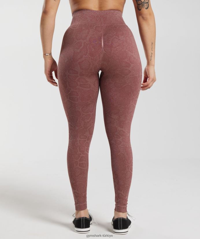 hayvan dikişsiz taytlarına uyum sağlar kadınlarGymshark modern allık pembesi/macenta kahverengi 02H048238