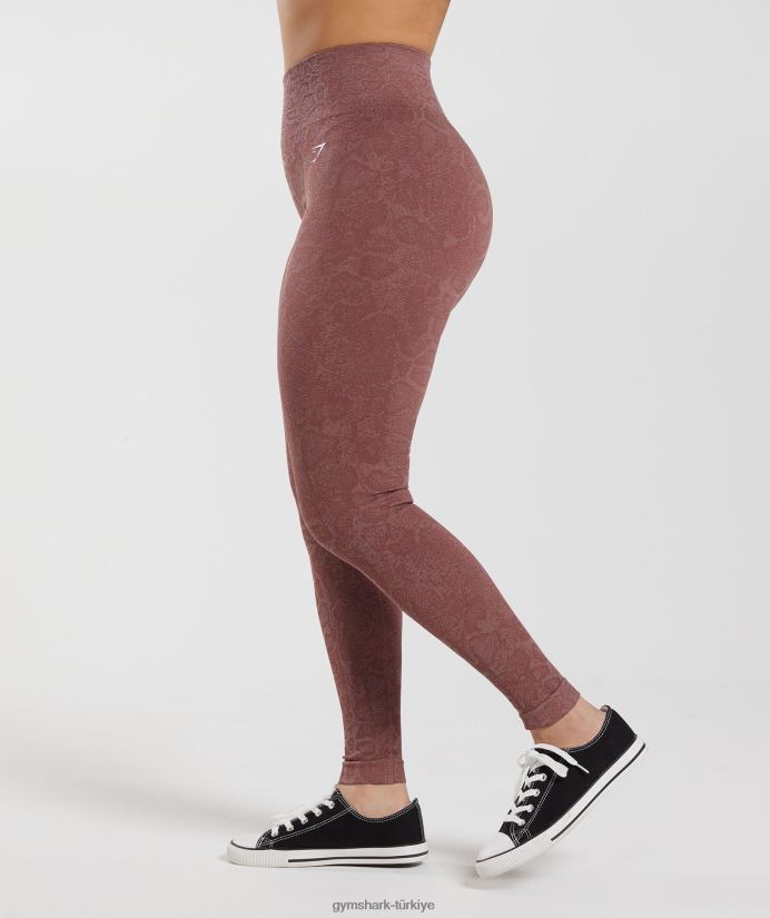 hayvan dikişsiz taytlarına uyum sağlar kadınlarGymshark modern allık pembesi/macenta kahverengi 02H048238