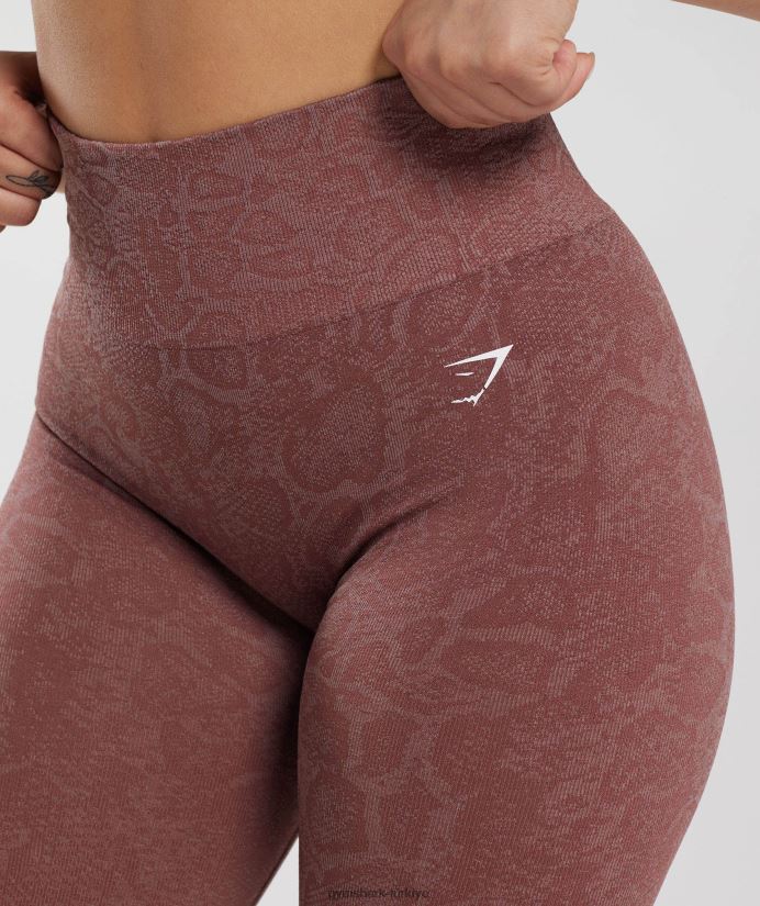 hayvan dikişsiz taytlarına uyum sağlar kadınlarGymshark modern allık pembesi/macenta kahverengi 02H048238