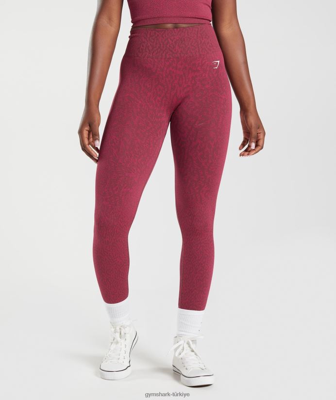 hayvan dikişsiz taytlarına uyum sağlar kadınlarGymshark resif | kiraz kahverengi 02H048299