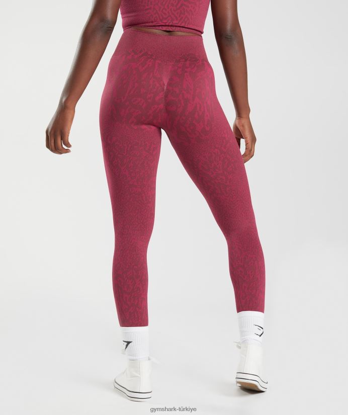 hayvan dikişsiz taytlarına uyum sağlar kadınlarGymshark resif | kiraz kahverengi 02H048299