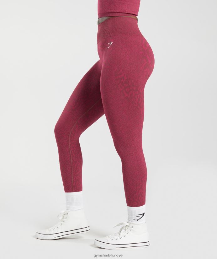 hayvan dikişsiz taytlarına uyum sağlar kadınlarGymshark resif | kiraz kahverengi 02H048299