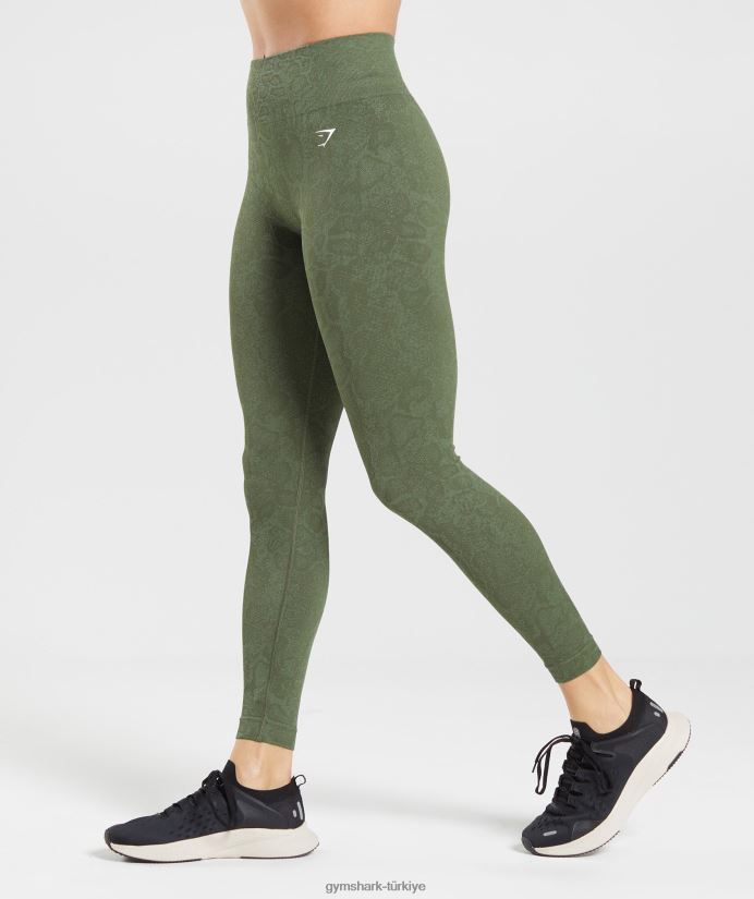 hayvan dikişsiz taytlarına uyum sağlar kadınlarGymshark söğüt yeşili/çekirdek zeytin 02H048271