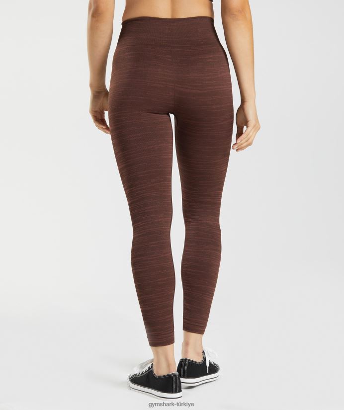 kırçıllı dikişsiz taytlara uyum sağlayın kadınlarGymshark arşiv kahvesi/kiraz kahvesi 02H048294