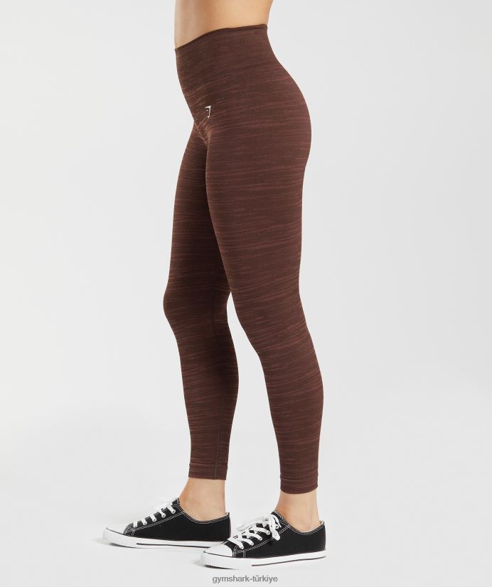 kırçıllı dikişsiz taytlara uyum sağlayın kadınlarGymshark arşiv kahvesi/kiraz kahvesi 02H048294