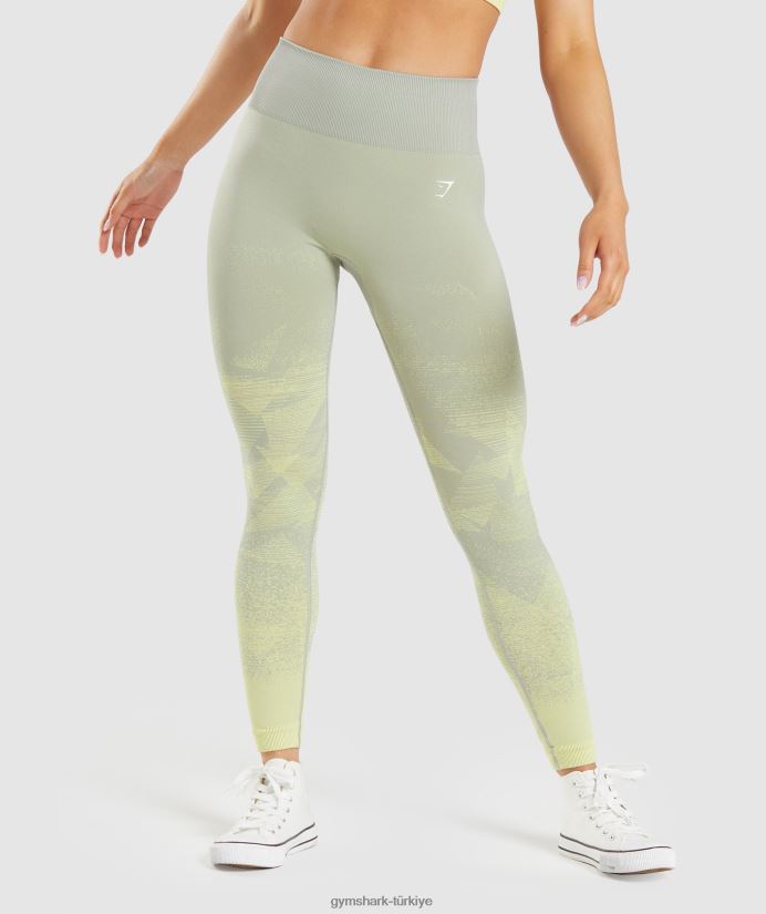ombre dikişsiz taytlara uyum sağlayın kadınlarGymshark üçgen | taupe gri baskı 02H048312