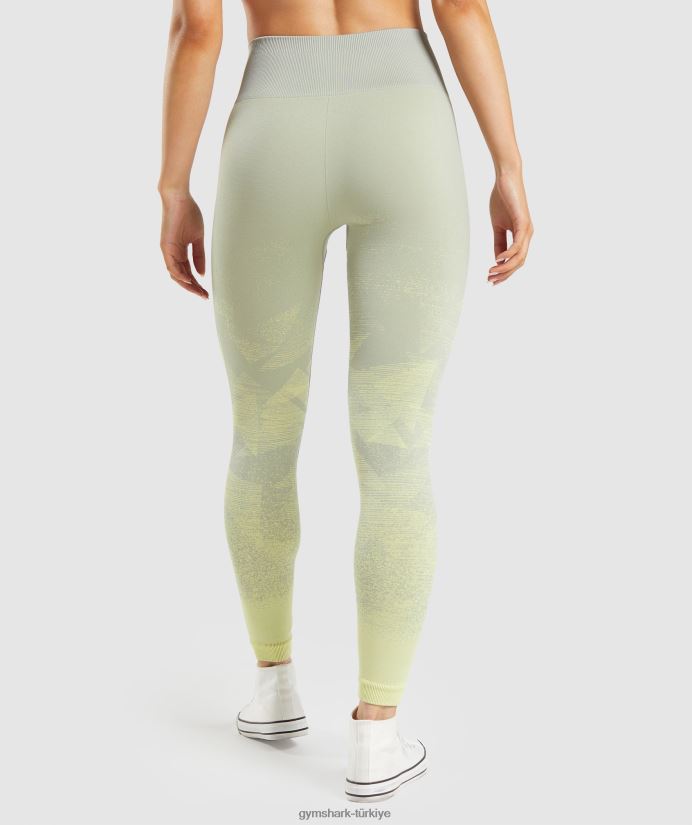ombre dikişsiz taytlara uyum sağlayın kadınlarGymshark üçgen | taupe gri baskı 02H048312
