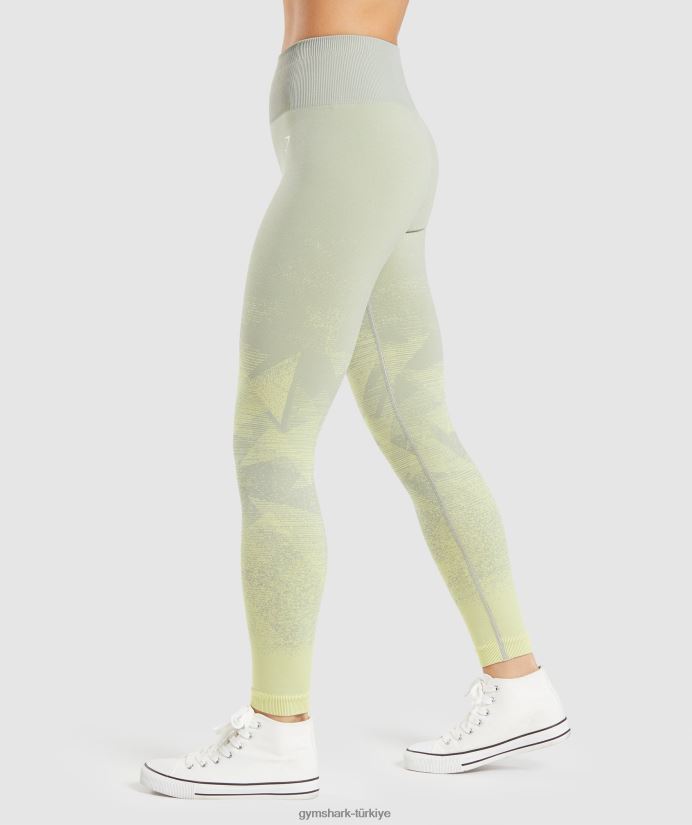 ombre dikişsiz taytlara uyum sağlayın kadınlarGymshark üçgen | taupe gri baskı 02H048312