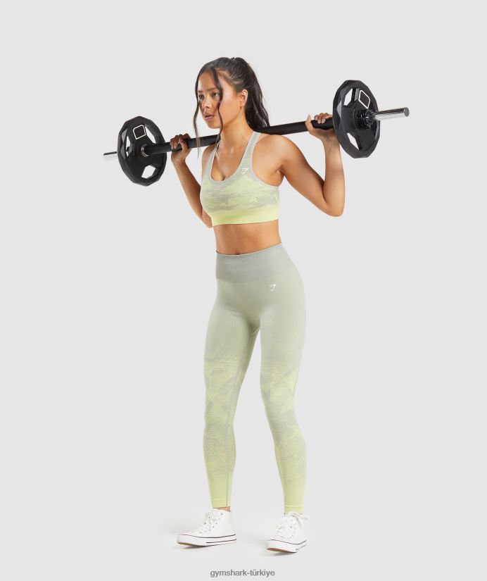 ombre dikişsiz taytlara uyum sağlayın kadınlarGymshark üçgen | taupe gri baskı 02H048312