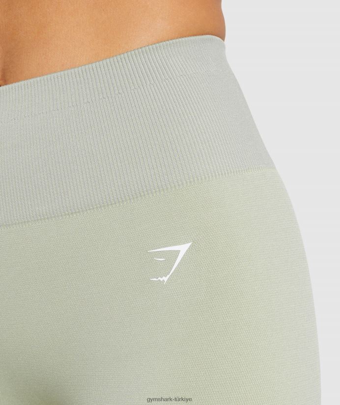 ombre dikişsiz taytlara uyum sağlayın kadınlarGymshark üçgen | taupe gri baskı 02H048312