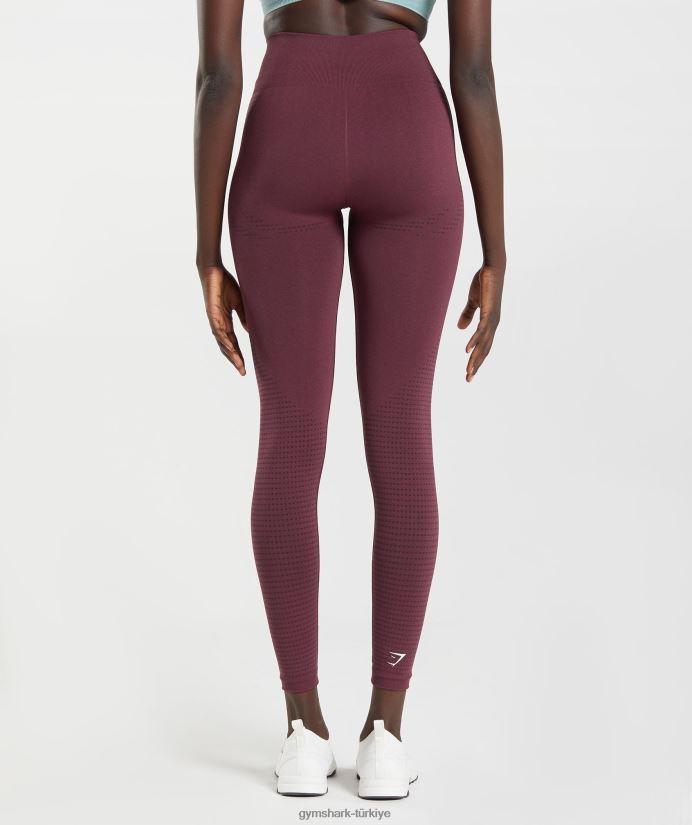 vital dikişsiz 2.0 tayt kadınlarGymshark pişmiş bordo marn 02H048335