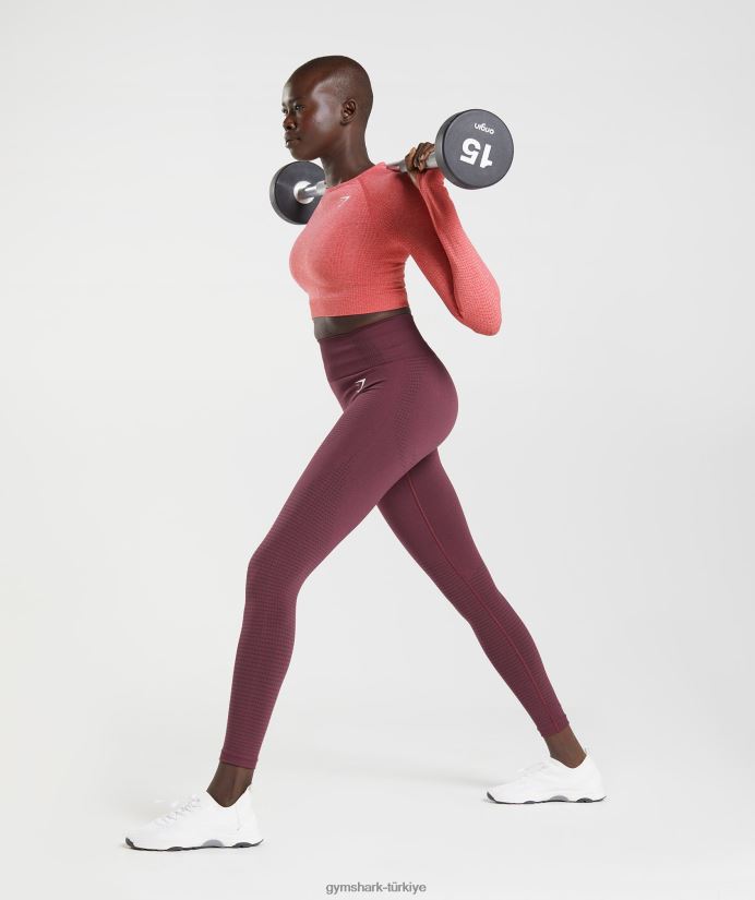 vital dikişsiz 2.0 tayt kadınlarGymshark pişmiş bordo marn 02H048335