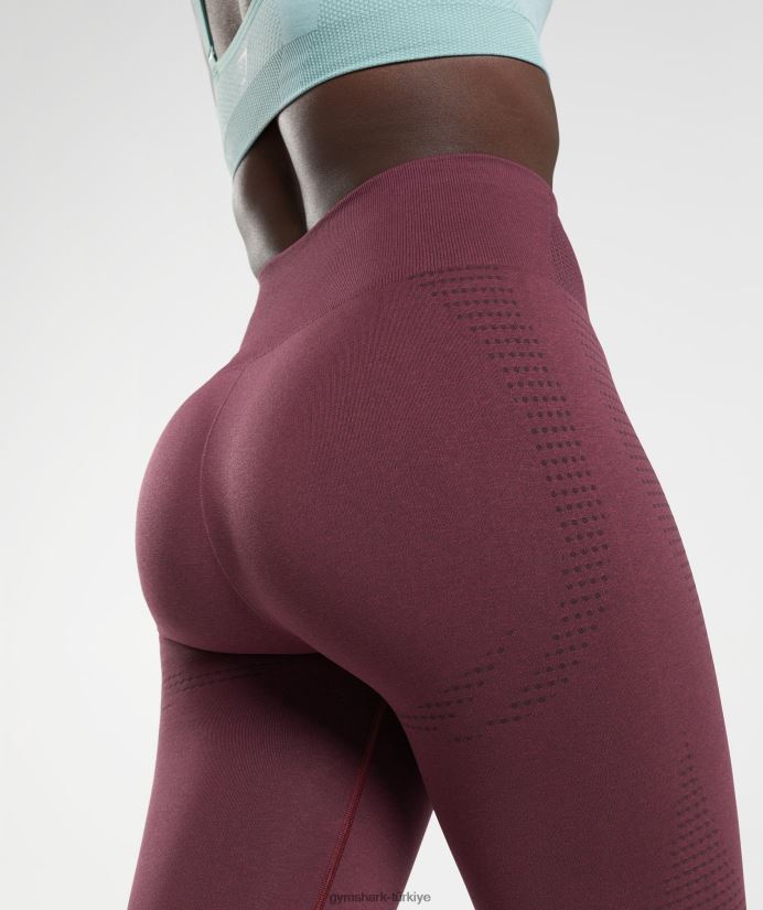 vital dikişsiz 2.0 tayt kadınlarGymshark pişmiş bordo marn 02H048335