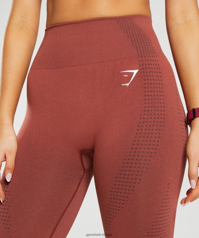 vital dikişsiz 2.0 tayt kadınlarGymshark tuğla kırmızısı marn 02H048257