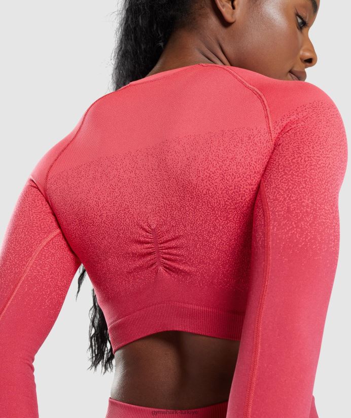 ombre dikişsiz uzun kollu kısa üst kadınlarGymshark Pembe kırmızı 02H048488